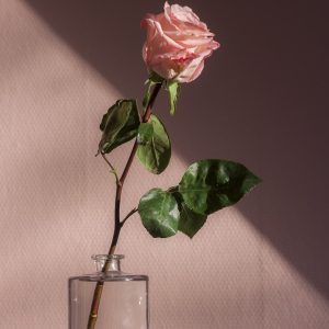 Сердце из 101 розы